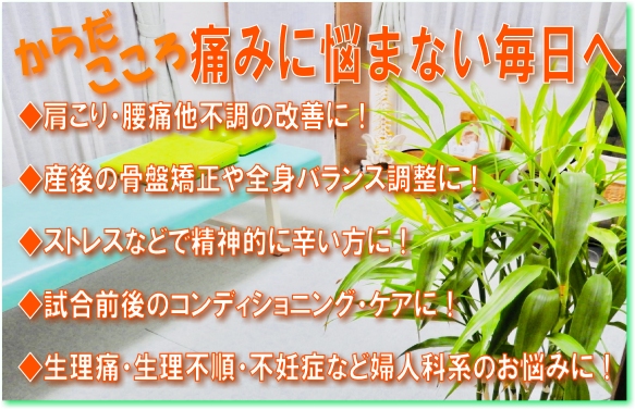関整体術院は豊富な改善実績を誇る群馬県高崎市の整体院です。産後の骨盤矯正、肩こり、腰痛、猫背、不妊症、自律神経失調等、お気軽に御相談を。