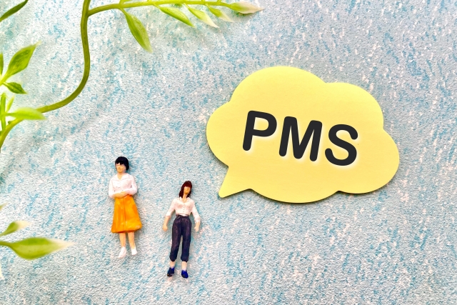 PMS画像